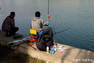 春天钓鱼，我最钟爱的几种饵料，下竿就有鱼咬钩